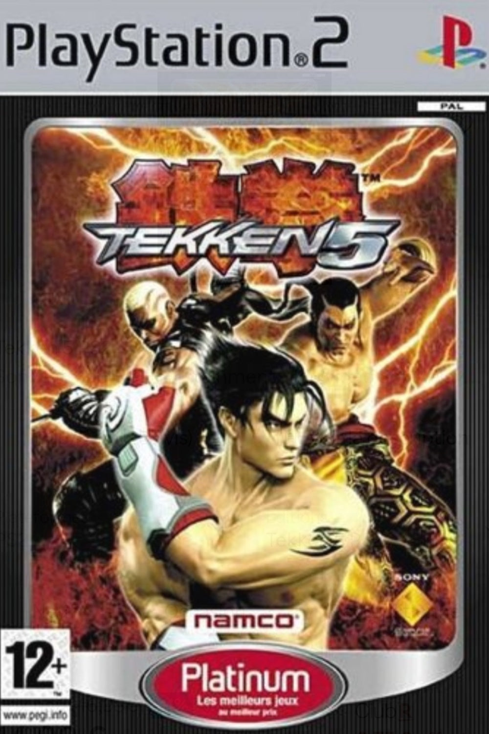 Jeu PS2 - TEKKEN 5 (Platinum)
